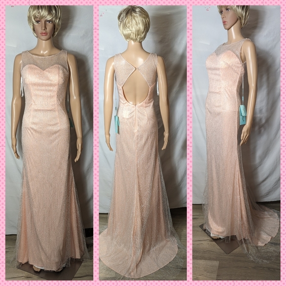Fabuluxe Limited Edition Dresses & Skirts - Fabuluxe limited edition pink prom formal fit&flare mini train gown sz XS NEW